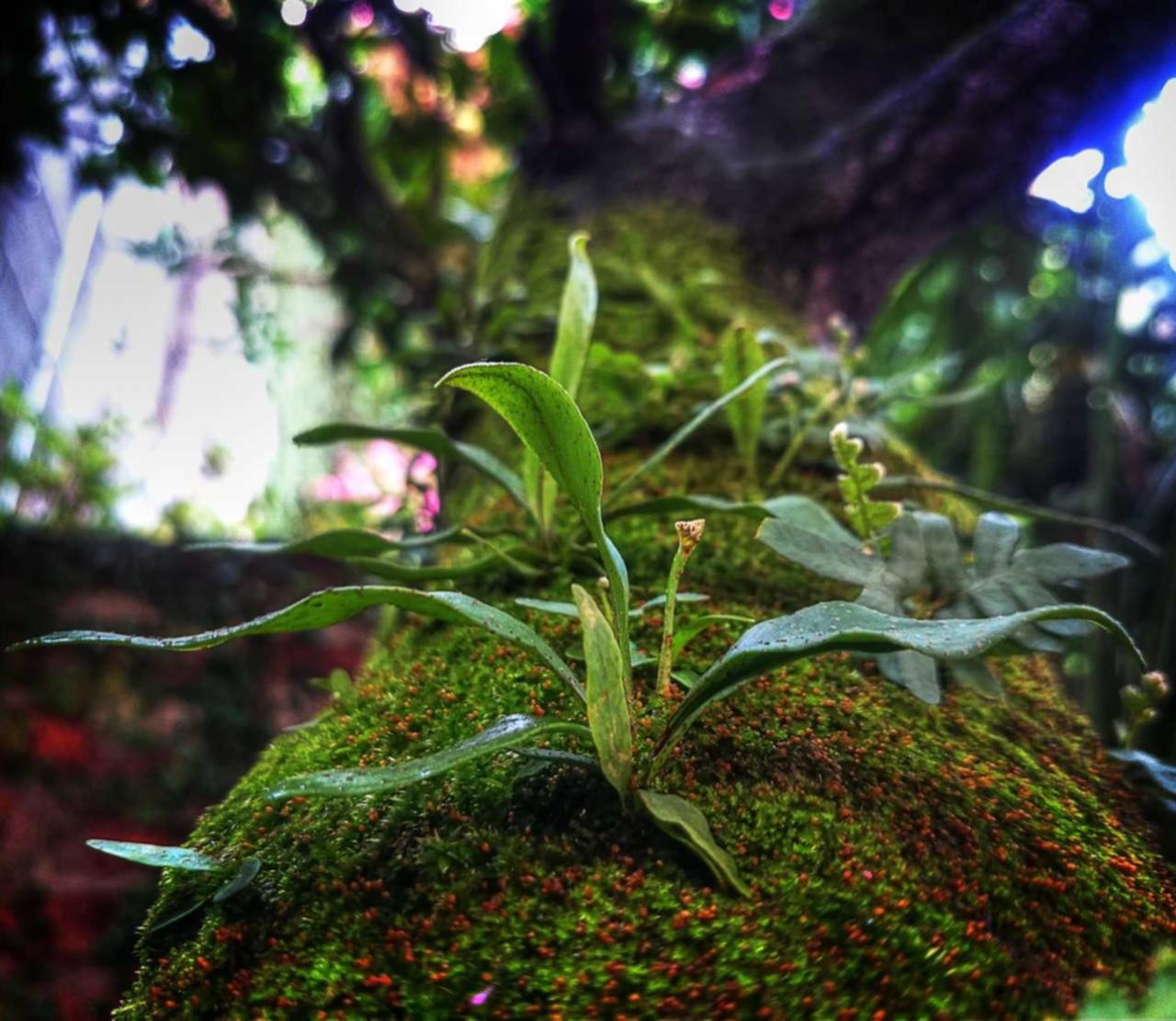 微信号新号白号：陕西政府购买平台