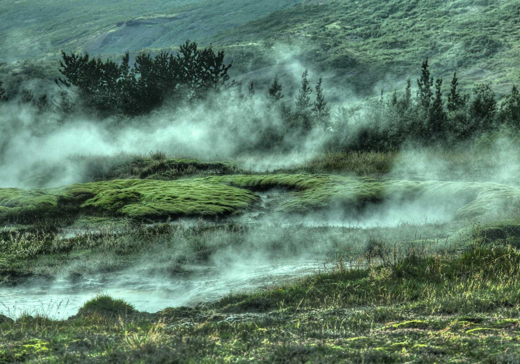 神机百灵鸟儿app详情下载教程